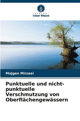 Punktuelle und nicht-punktuelle Verschmutzung von Oberflächengewässern
