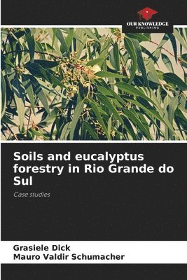 bokomslag Soils and eucalyptus forestry in Rio Grande do Sul