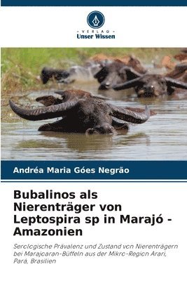 bokomslag Bubalinos als Nierentrger von Leptospira sp in Maraj - Amazonien