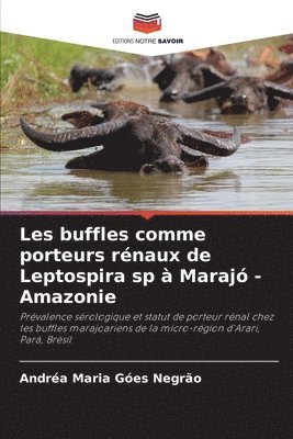 Les buffles comme porteurs rnaux de Leptospira sp  Maraj - Amazonie 1