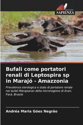 bokomslag Bufali come portatori renali di Leptospira sp in Maraj - Amazzonia