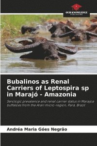 bokomslag Bubalinos as Renal Carriers of Leptospira sp in Maraj - Amazonia