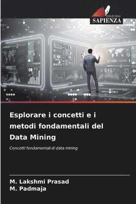 bokomslag Esplorare i concetti e i metodi fondamentali del Data Mining