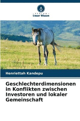 Geschlechterdimensionen in Konflikten zwischen Investoren und lokaler Gemeinschaft 1