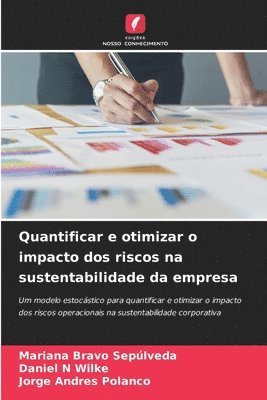 Quantificar e otimizar o impacto dos riscos na sustentabilidade da empresa 1