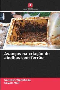 bokomslag Avanos na criao de abelhas sem ferro