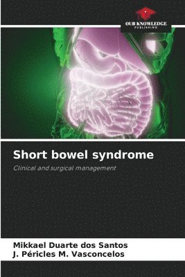 bokomslag Short bowel syndrome