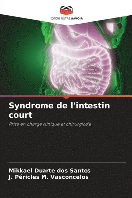 bokomslag Syndrome de l'intestin court