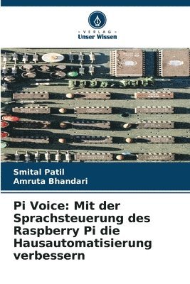 Pi Voice 1