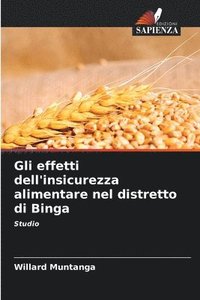 bokomslag Gli effetti dell'insicurezza alimentare nel distretto di Binga