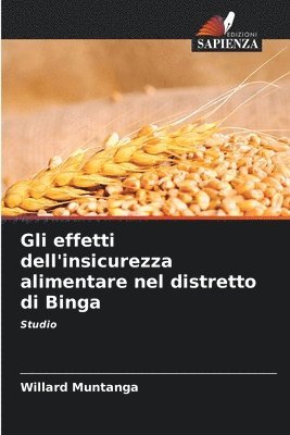 bokomslag Gli effetti dell'insicurezza alimentare nel distretto di Binga