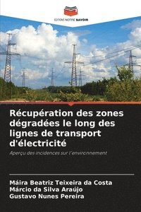 bokomslag Récupération des zones dégradées le long des lignes de transport d'électricité