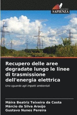 Recupero delle aree degradate lungo le linee di trasmissione dell'energia elettrica