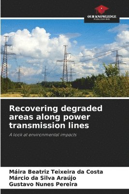 Recovering degraded areas along power transmission lines 1