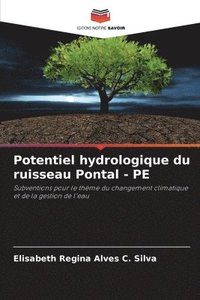 bokomslag Potentiel hydrologique du ruisseau Pontal - PE