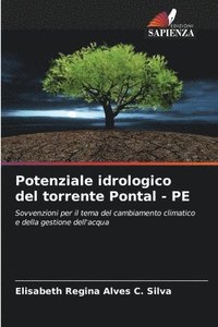 bokomslag Potenziale idrologico del torrente Pontal - PE