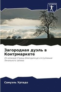 bokomslag &#1047;&#1072;&#1075;&#1086;&#1088;&#1086;&#1076;&#1085;&#1072;&#1103; &#1076;&#1091;&#1101;&#1083;&#1100; &#1074; &#1050;&#1086;&#1085;&#1090;&#1088;&#1084;&#1072;&#1088;&#1082;&#1077;&#1090;&#1077;