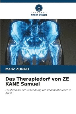 bokomslag Das Therapiedorf von ZE KANE Samuel