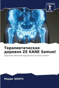 bokomslag &#1058;&#1077;&#1088;&#1072;&#1087;&#1077;&#1074;&#1090;&#1080;&#1095;&#1077;&#1089;&#1082;&#1072;&#1103; &#1076;&#1077;&#1088;&#1077;&#1074;&#1085;&#1103; ZE KANE Samuel