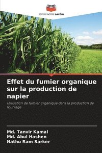 bokomslag Effet du fumier organique sur la production de napier