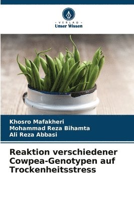 Reaktion verschiedener Cowpea-Genotypen auf Trockenheitsstress 1