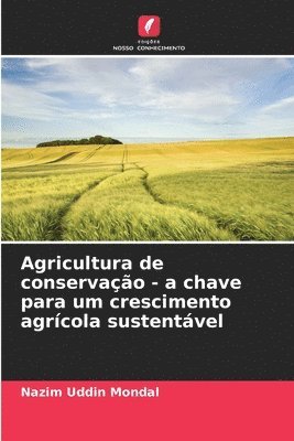 bokomslag Agricultura de conservao - a chave para um crescimento agrcola sustentvel