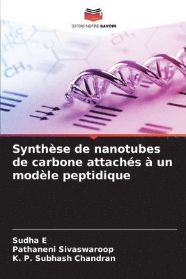 Synthse de nanotubes de carbone attachs  un modle peptidique 1