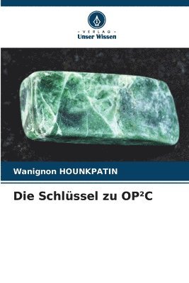 bokomslag Die Schlssel zu OPC