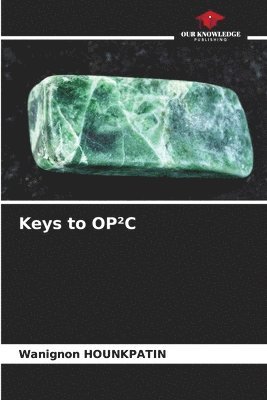 bokomslag Keys to OPC