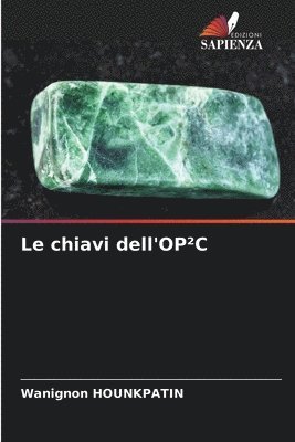 Le chiavi dell'OPC 1