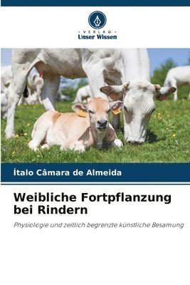 Weibliche Fortpflanzung bei Rindern 1