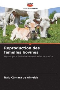 bokomslag Reproduction des femelles bovines