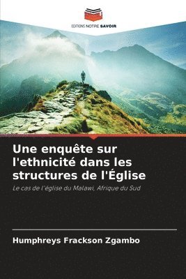 Humphreys Frackson Zgambo - enquête sur l'ethnicité dans les structures de l'Église, Häftad