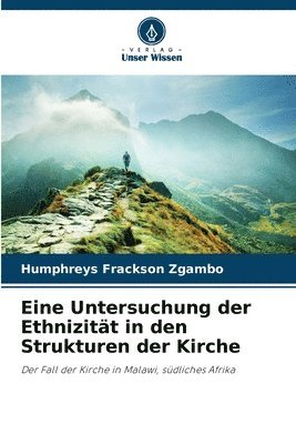 bokomslag Eine Untersuchung der Ethnizitt in den Strukturen der Kirche