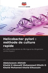 bokomslag Helicobacter pylori