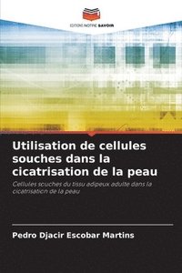 bokomslag Utilisation de cellules souches dans la cicatrisation de la peau