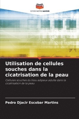 bokomslag Utilisation de cellules souches dans la cicatrisation de la peau