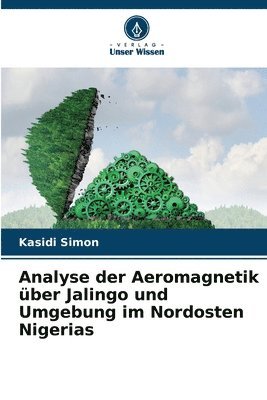 bokomslag Analyse der Aeromagnetik über Jalingo und Umgebung im Nordosten Nigerias