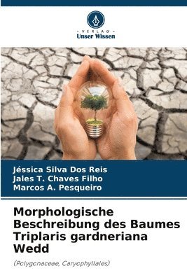 Morphologische Beschreibung des Baumes Triplaris gardneriana Wedd 1