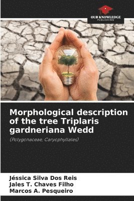 bokomslag Morphological description of the tree Triplaris gardneriana Wedd