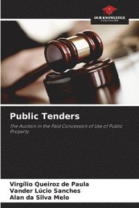 bokomslag Public Tenders