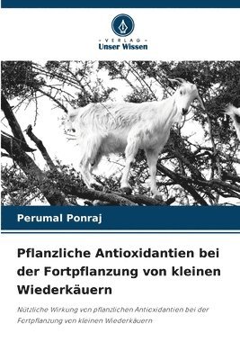 Perumal Ponraj - Pflanzliche Antioxidantien bei der Fortpflanzung von kleinen Wiederkäuern, Häftad