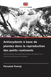 bokomslag Antioxydants  base de plantes dans la reproduction des petits ruminants