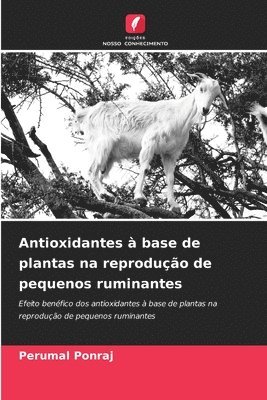 Perumal Ponraj - Antioxidantes à base de plantas na reprodução de pequenos ruminantes, Häftad