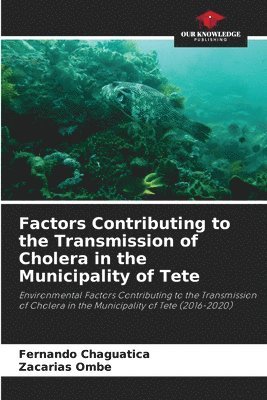 Factors Contributing to the Transmission of Cholera in the Municipality of Tete