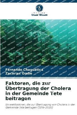Faktoren, die zur Übertragung der Cholera in der Gemeinde Tete beitragen