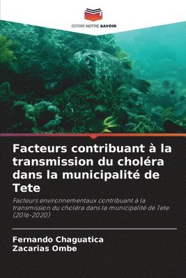 Facteurs contribuant à la transmission du choléra dans la municipalité de Tete