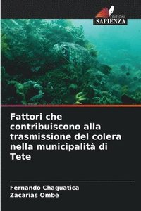 bokomslag Fattori che contribuiscono alla trasmissione del colera nella municipalit di Tete