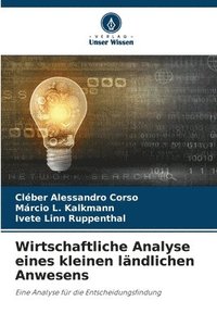 bokomslag Wirtschaftliche Analyse eines kleinen lndlichen Anwesens