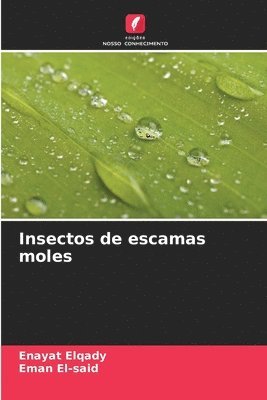 Insectos de escamas moles 1